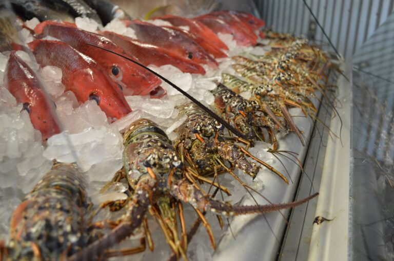 Tarpon Dock Seafood Market
