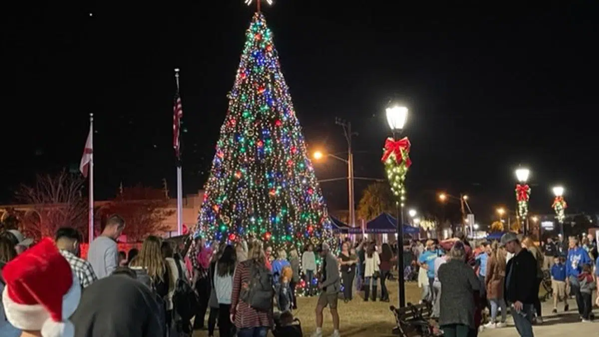 Panama City Christmas Tree Lighting — Destination Panama City