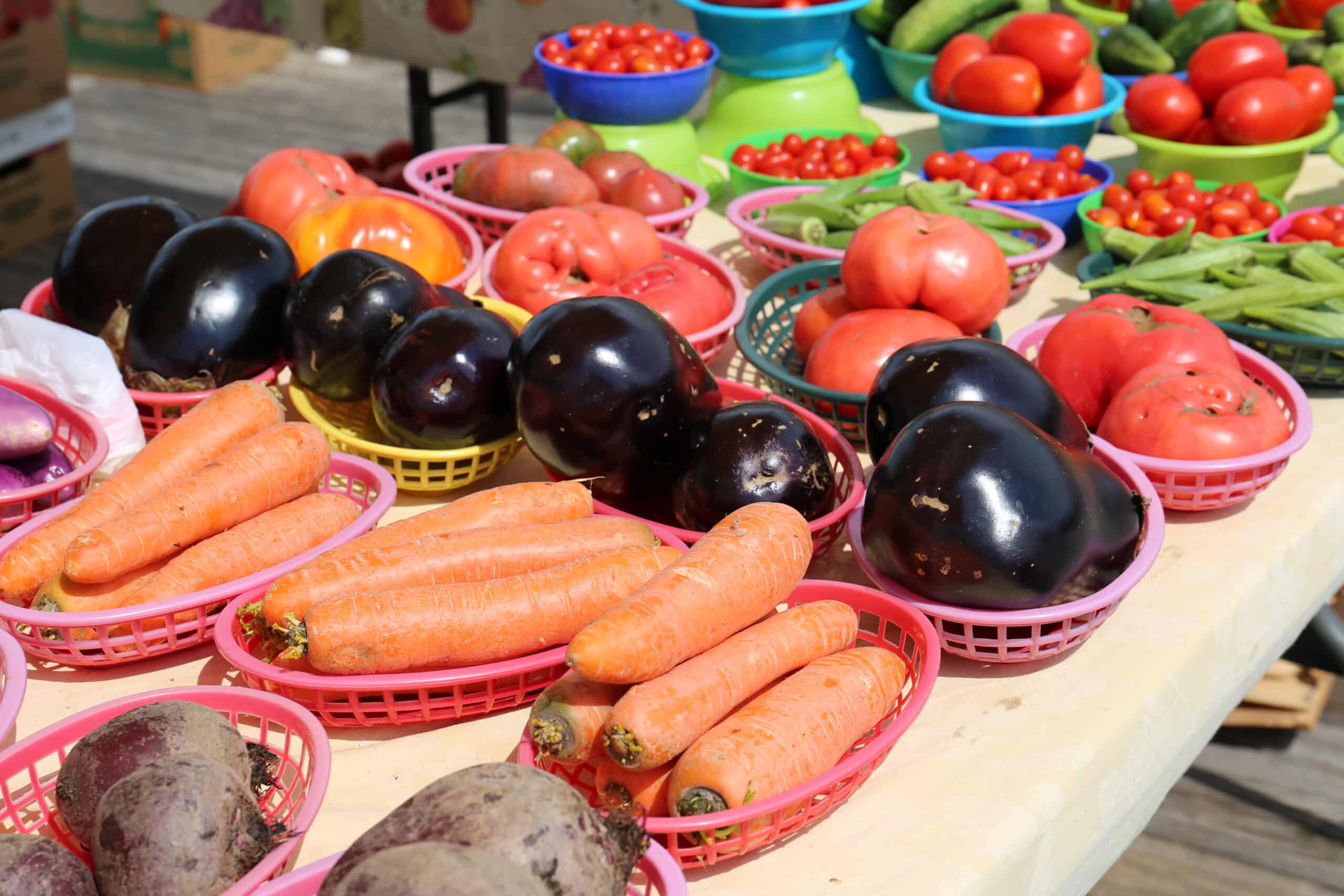 farmers markets in panama city