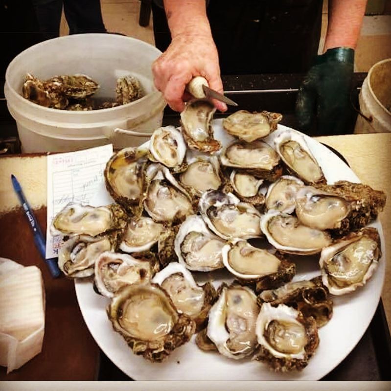 best places to get oysters in panama city FL