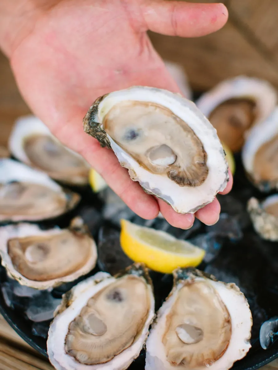 Fresh Gulf oyster on the half shell at Hunt's Oyster Bar in Panama City, Florida.