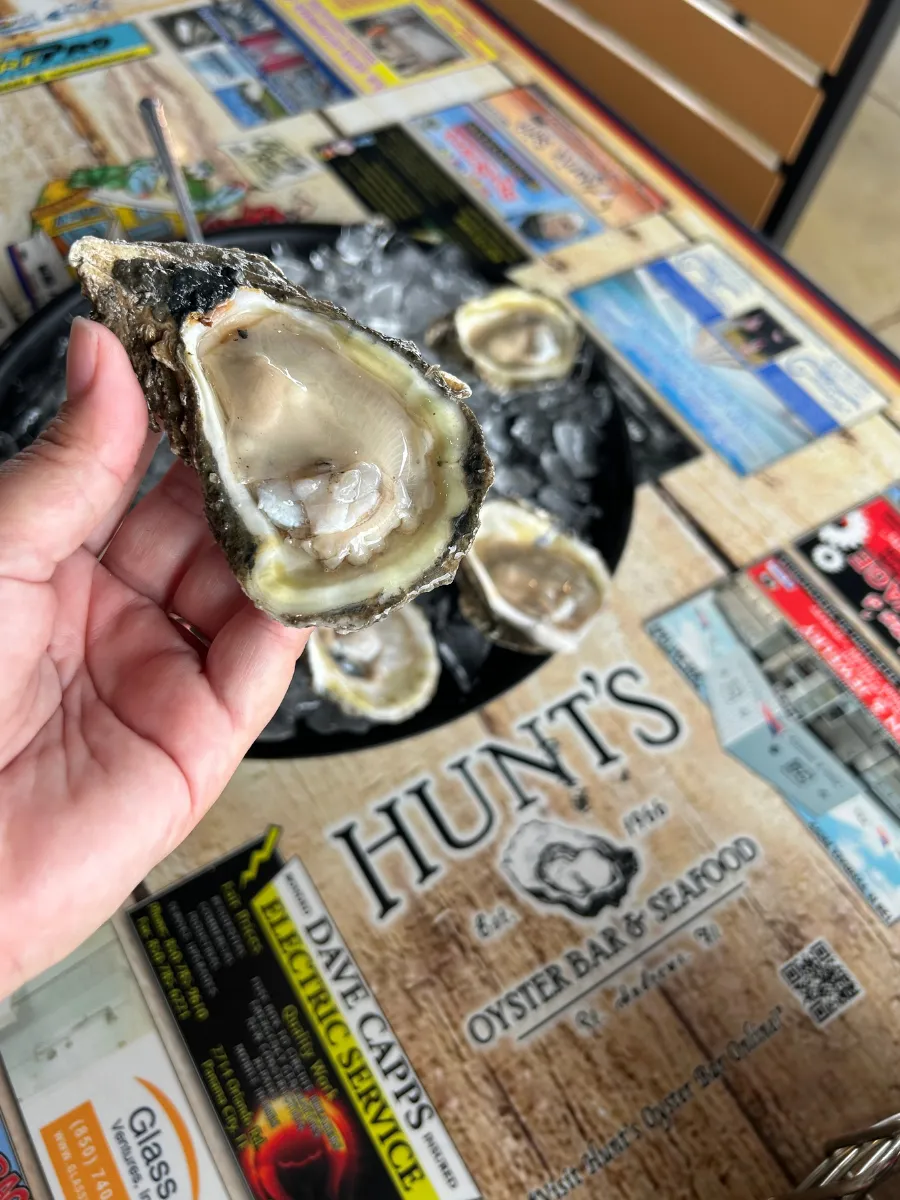 Fresh raw Gulf oyster served at Hunt's Oyster Bar in Panama City, Florida.