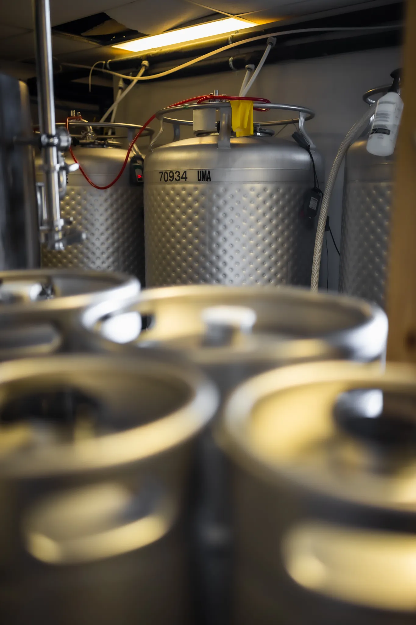 Salty Oak Brewing | A Panama City Brewery with a Local Cult-Following 6 dpc beer web 43