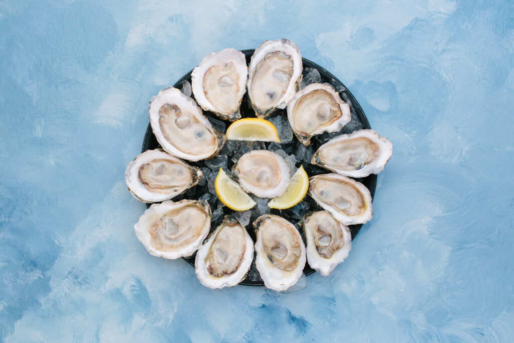 Panama City Oyster Trail Destination Panama City