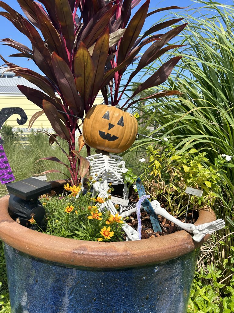 ext 1728416375.757624 pkblake1111@gmail.com IMG 4677