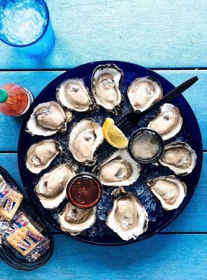 winter resident guide to panama city florida