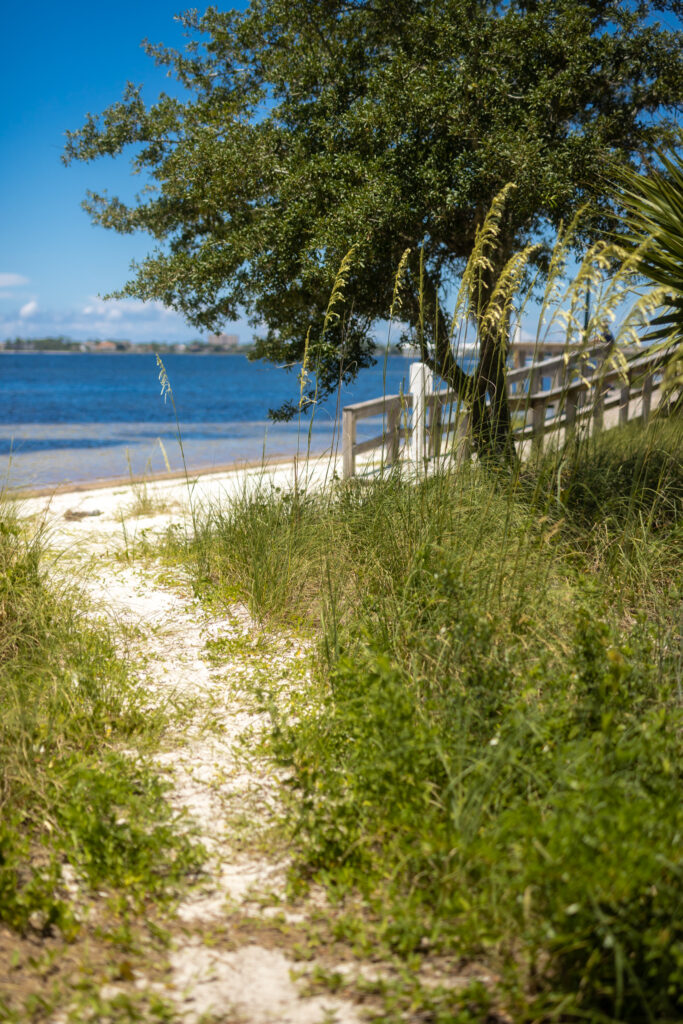 winter resident guide to panama city florida