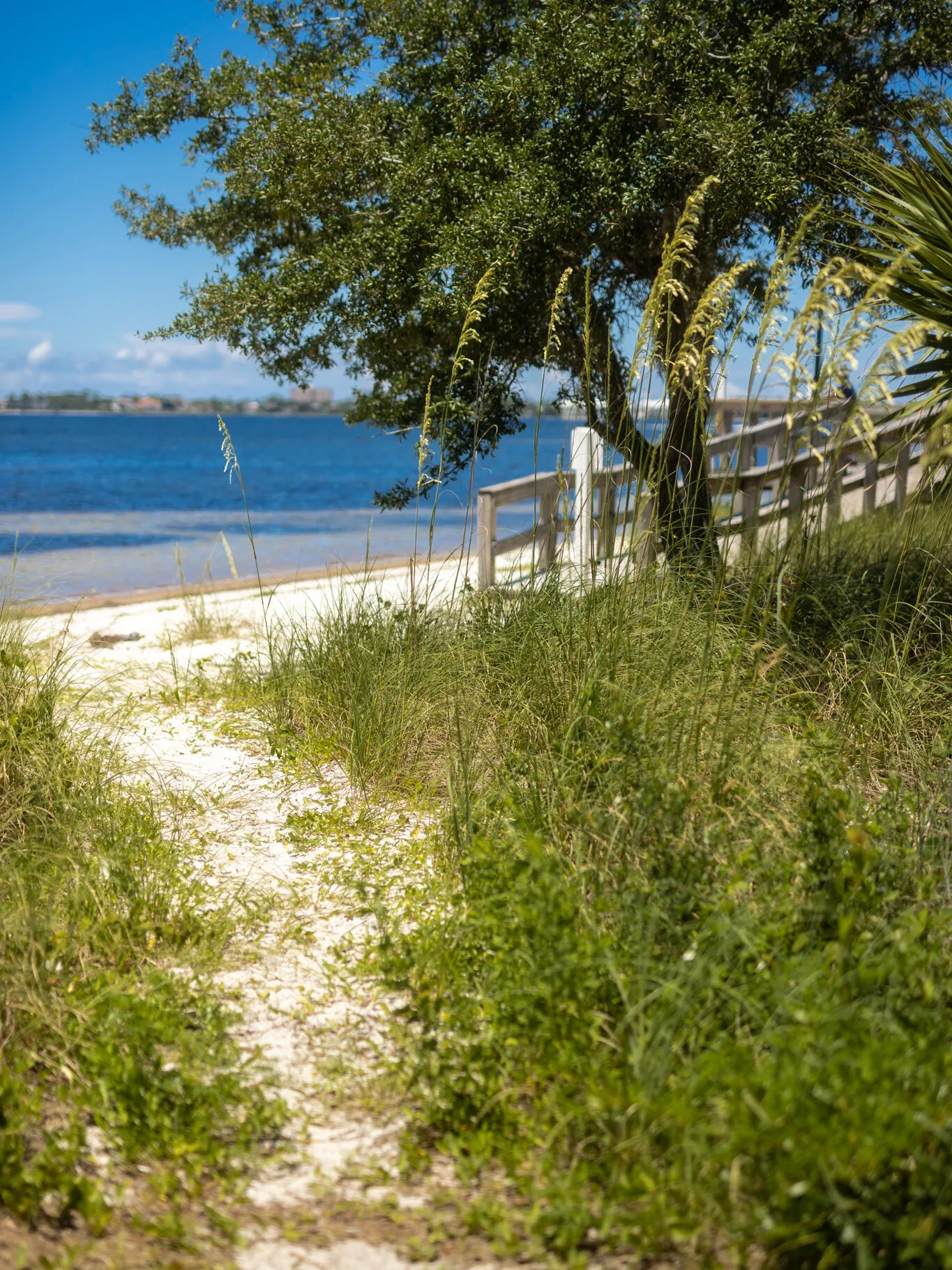 10 Things to Do in St. Andrews: From Historic Charm to Natural Wonders 7 Things to Do in St. Andrews Panama City, Florida
