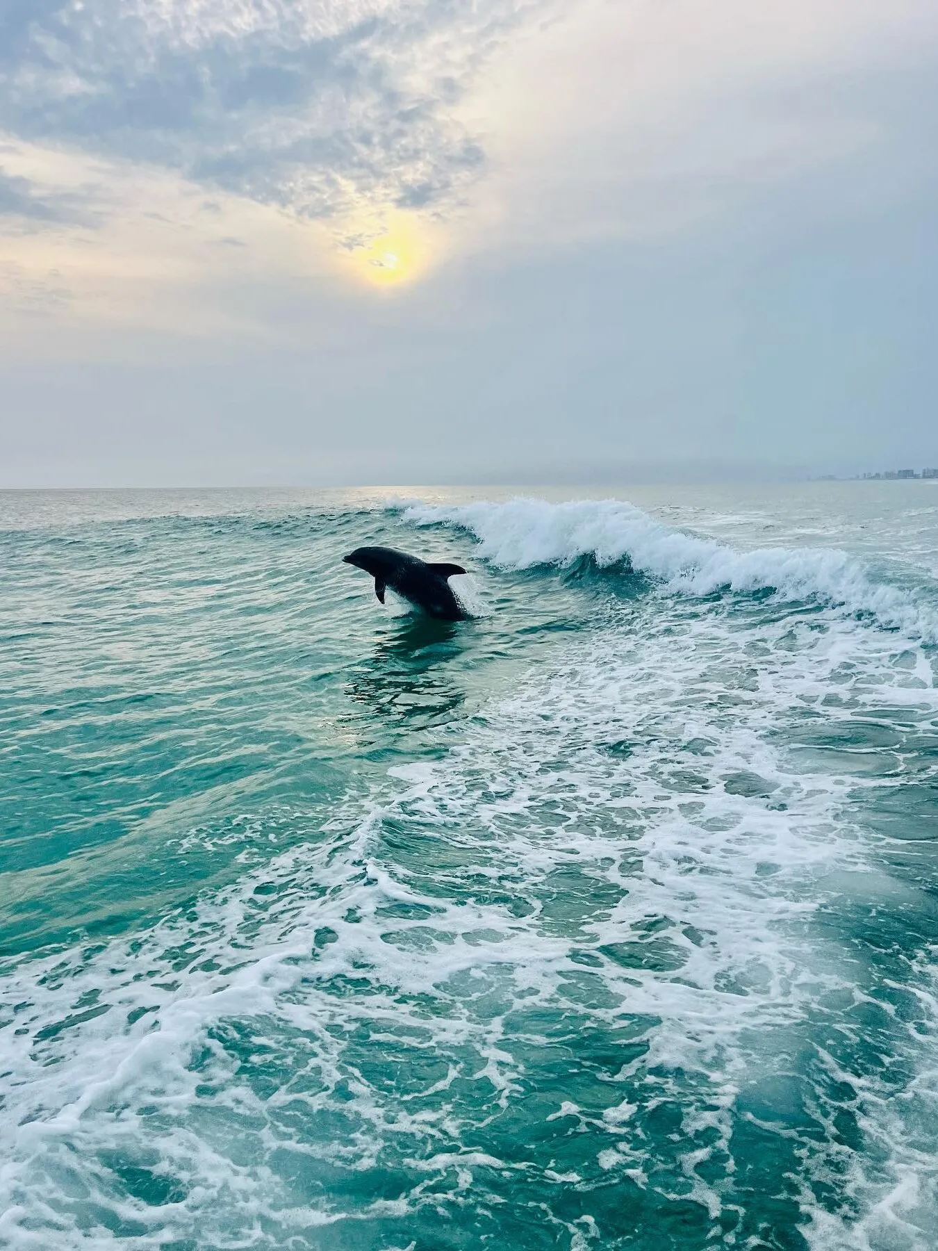 10 Things to Do in St. Andrews: From Historic Charm to Natural Wonders 12 Things to Do in St. Andrews Panama City, Florida