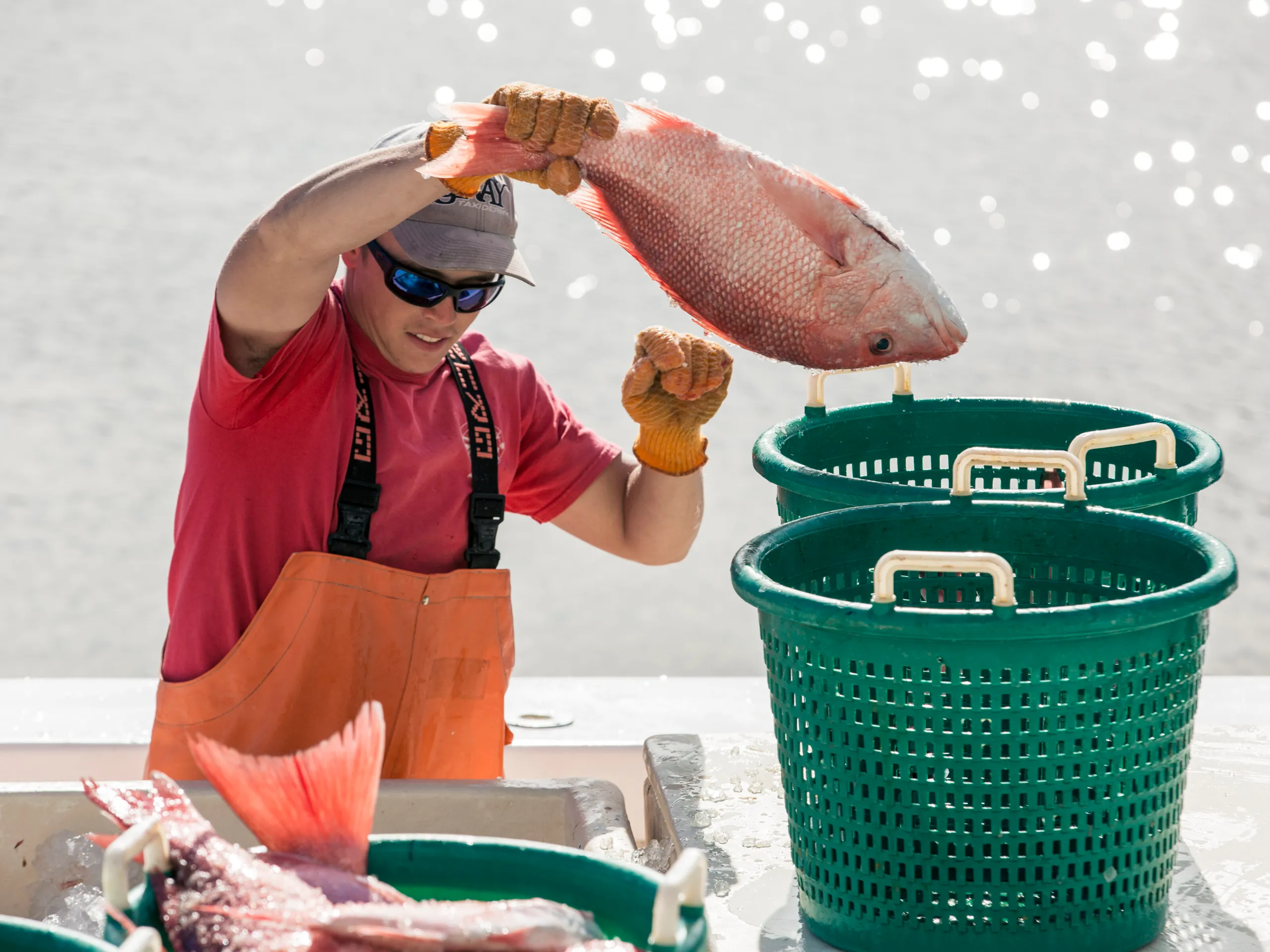 Exploring the Rich History of the Massalina Family 6 Tarpon Dock's Seafood Market on Massalina Bayou Panama City, Florida