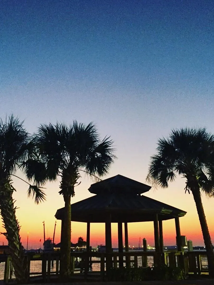 Dock and Dine: Top Waterfront Restaurants Accessible by Boat in Panama City 8 Dock and Dine: Top 4 Waterfront Restaurants Accessible by Boat in Panama City