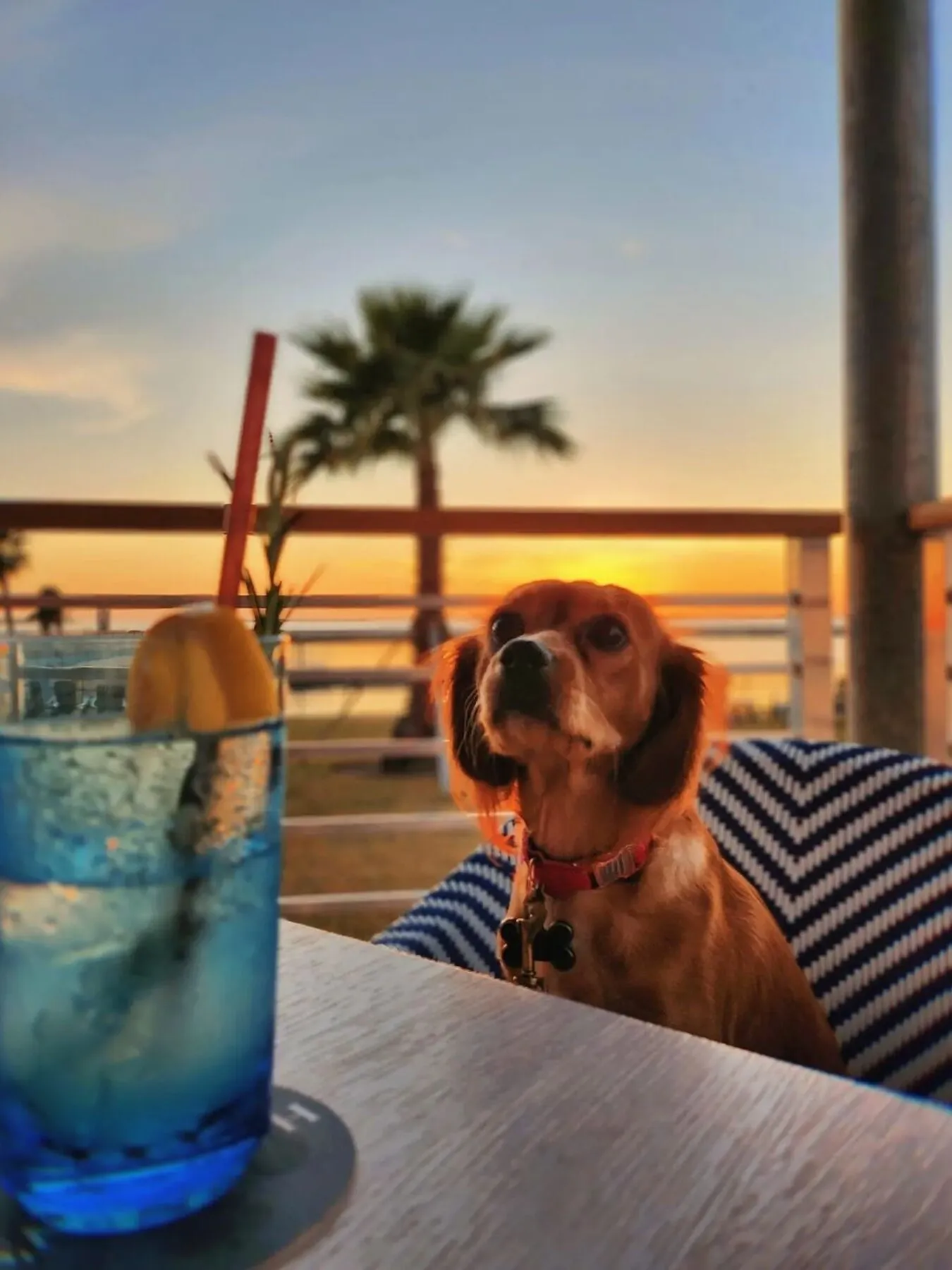 Dock and Dine: Top Waterfront Restaurants Accessible by Boat in Panama City 15 Dock and Dine: Top 4 Waterfront Restaurants Accessible by Boat in Panama City