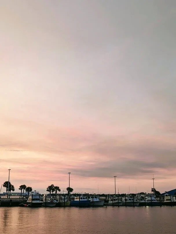 Dock and Dine: Top Waterfront Restaurants Accessible by Boat in Panama City 7 Dock and Dine: Top 4 Waterfront Restaurants Accessible by Boat in Panama City