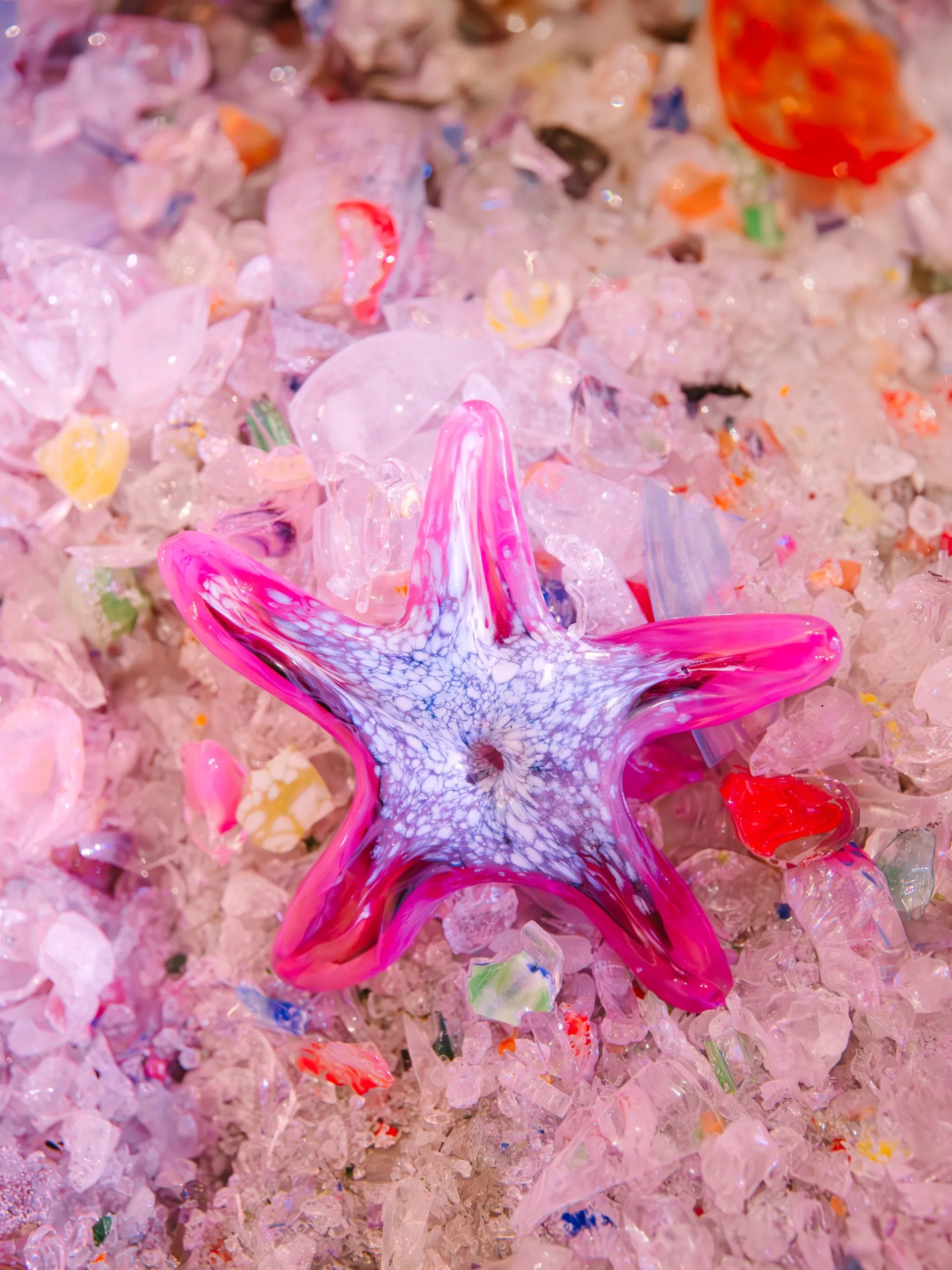 Discover the Most Kid-Friendly Things to Do in Panama City 33 Kid-Friendly Things to Do in Panama City