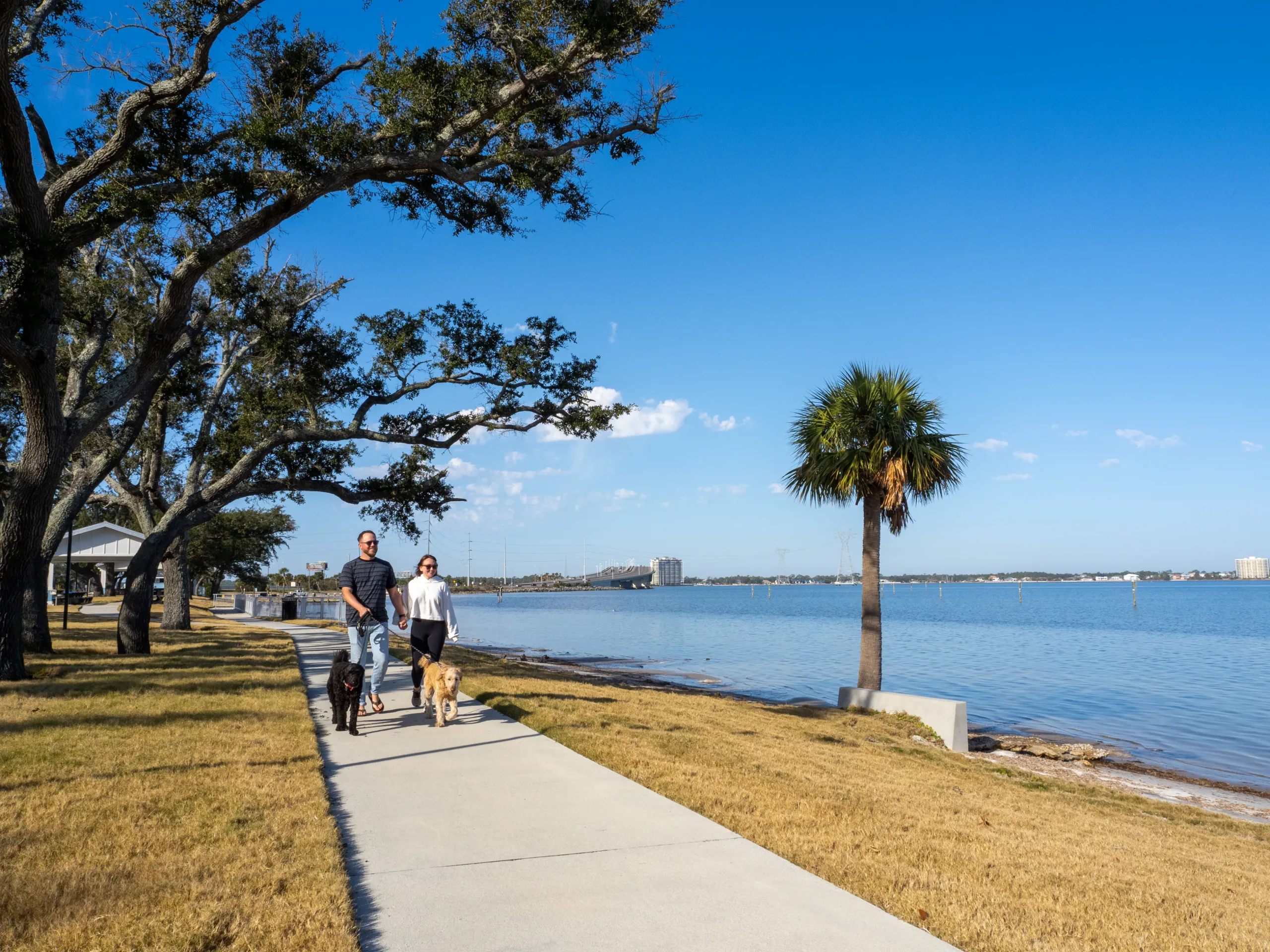 Carl Gray Park traveling dans scaled