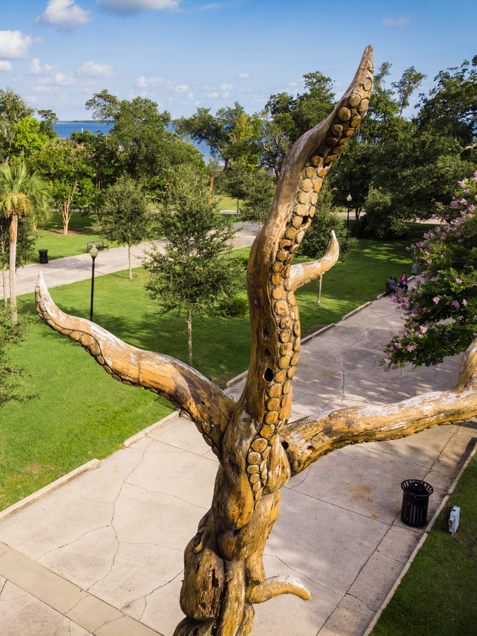 art perspective oaks by the bay 1 1 edited scaled