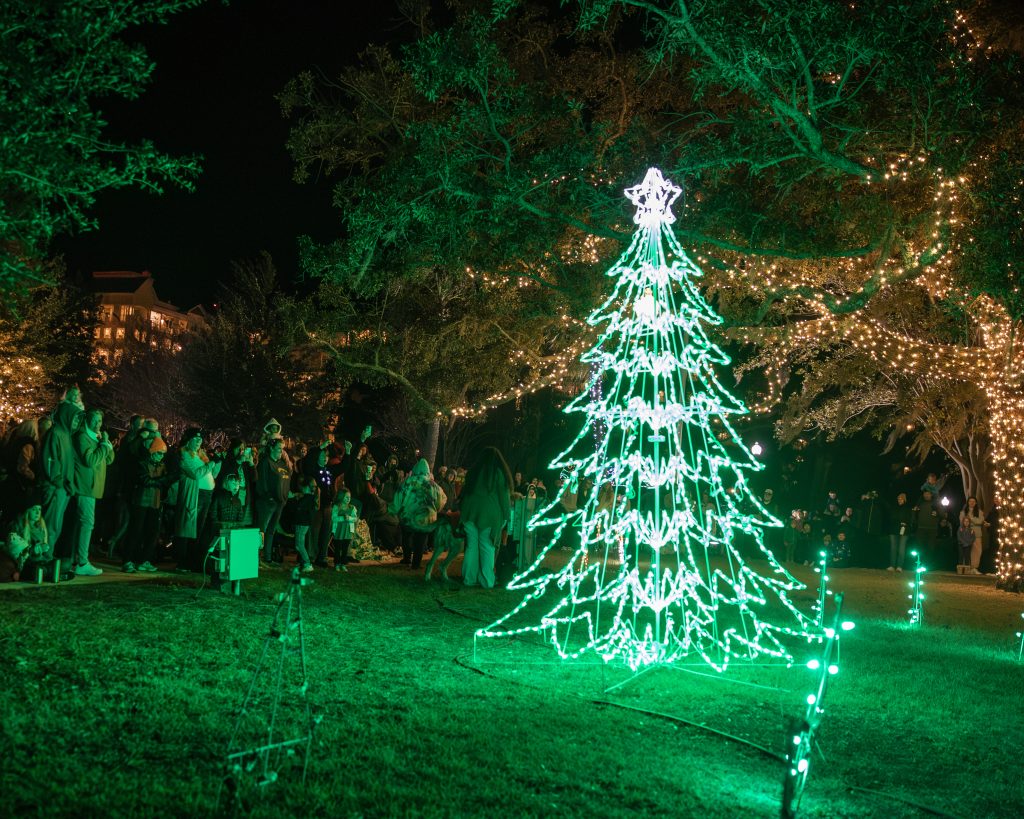 St Andrews Christmas Tree 2024 012