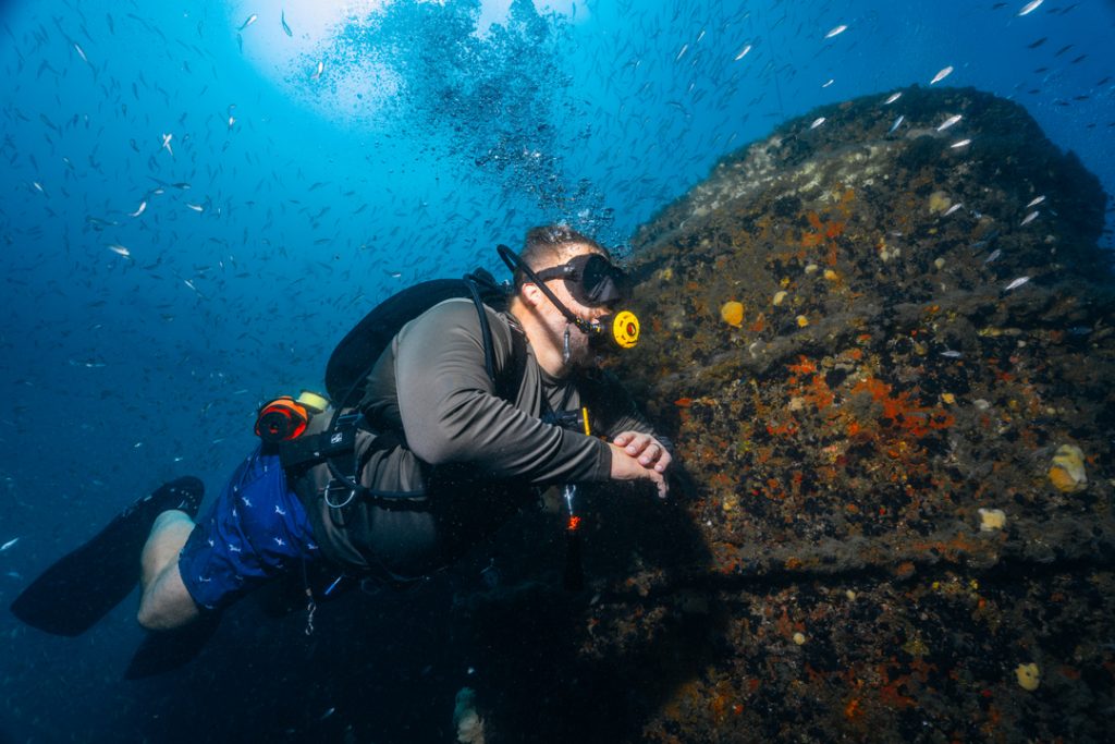 26 Unique Things to do in Panama City in 2026 for Every Avid Traveler 61 Panama City Florida NWFL 72 2