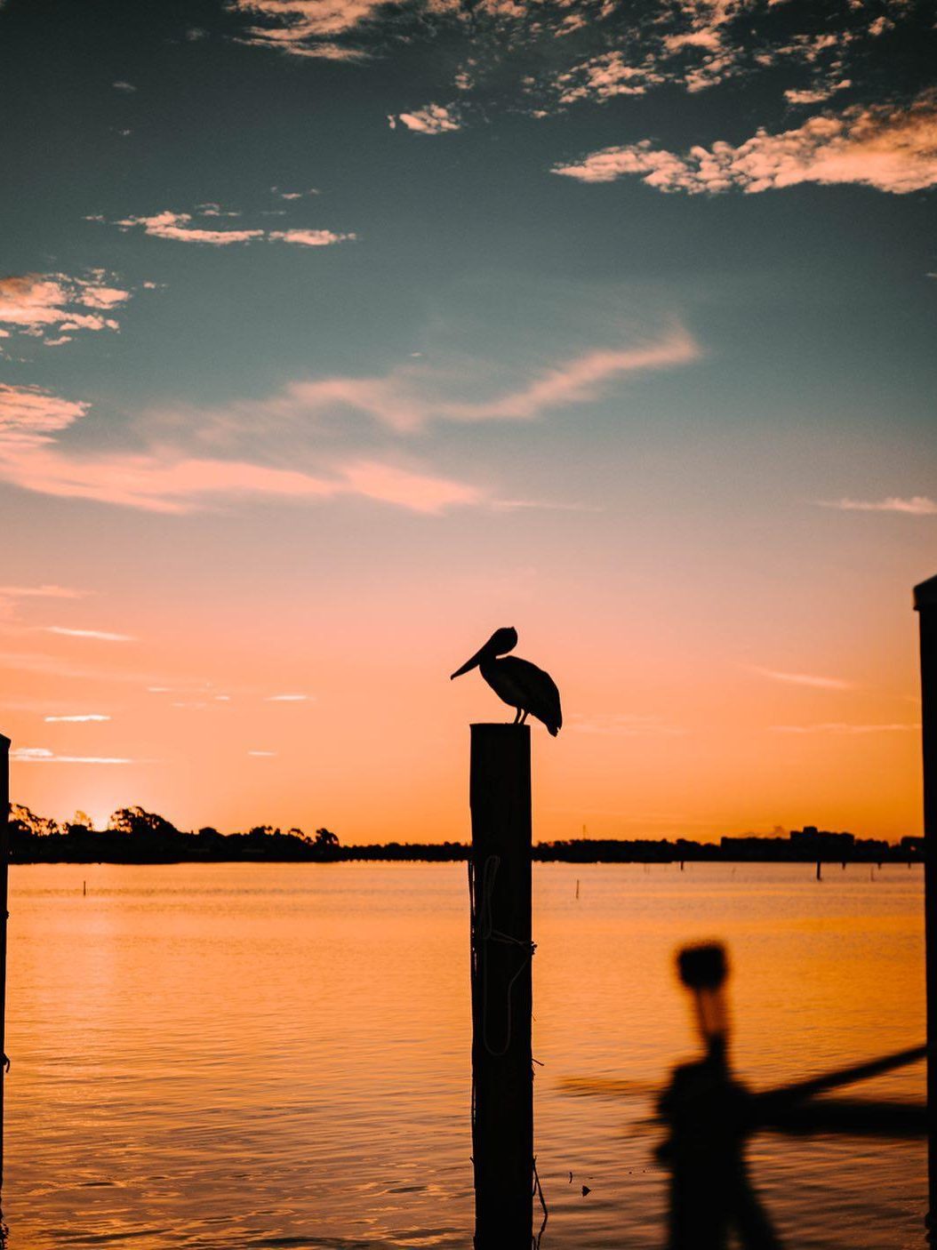 A bird perched on a post in the water against an orange sunset sky, a naturally relaxing spot in Panama City.