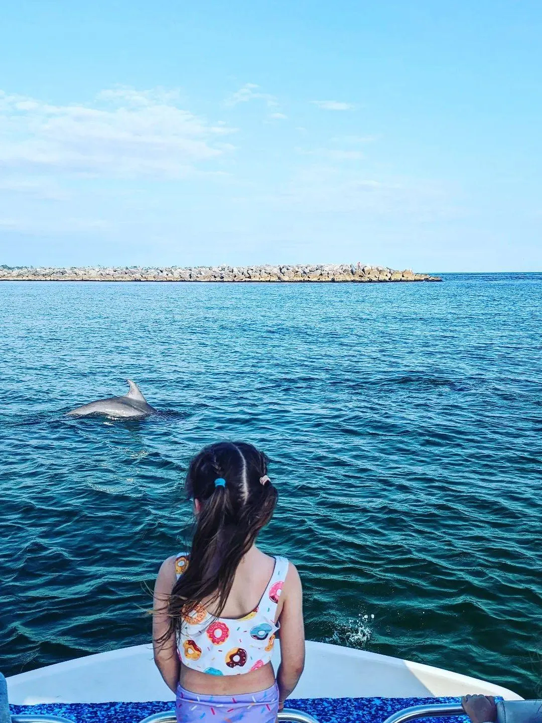 Top Florida Eco-Adventures: Explore Sustainable Travel in Panama City 4 A girl on a boat observing dolphins in the water during a Flippin' Awesome Adventures tour, combining Florida eco-adventures with sustainable travel in Panama City while exploring the marine ecosystem.