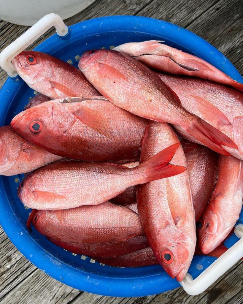 Fresh catch of fish displayed at a local fish market in Panama City, highlighting the region’s commitment to sea-to-table dining and sustainable travel in Panama City.