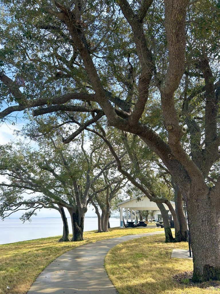 Accessible Travel in Florida: Things to See, Do, and Experience in Panama City for All Abilities