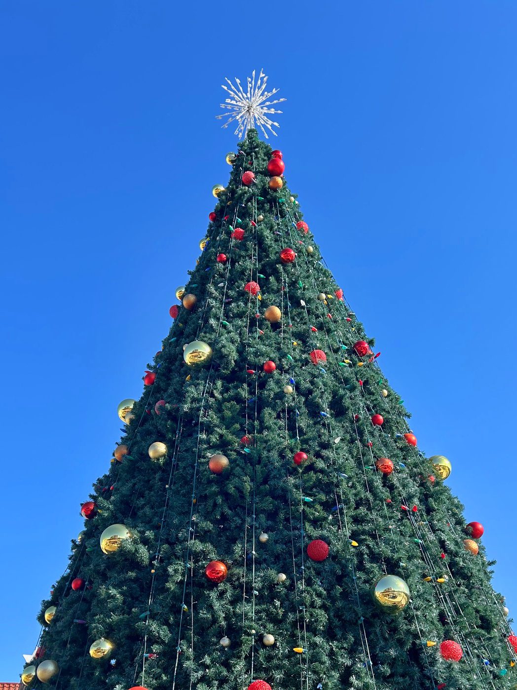 The Top Bucket List Ideas to Experience the Holidays in Panama City 3 christmas tree edited