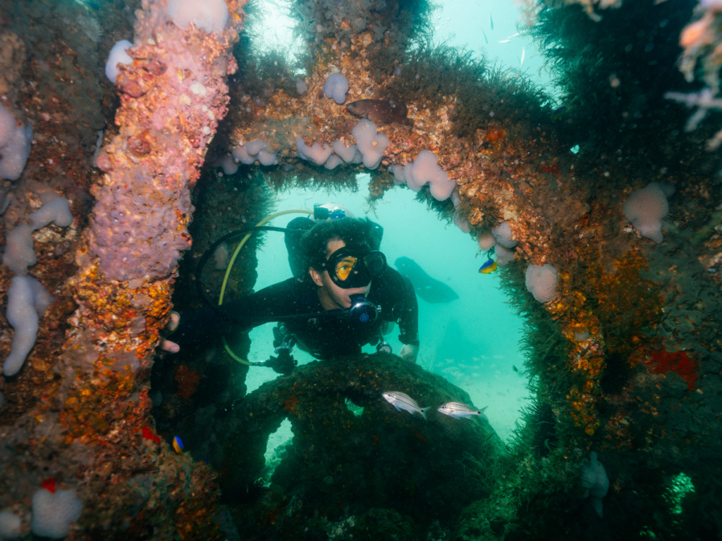 Florida Panhandle Shipwreck Trail 2 Untitled design 1