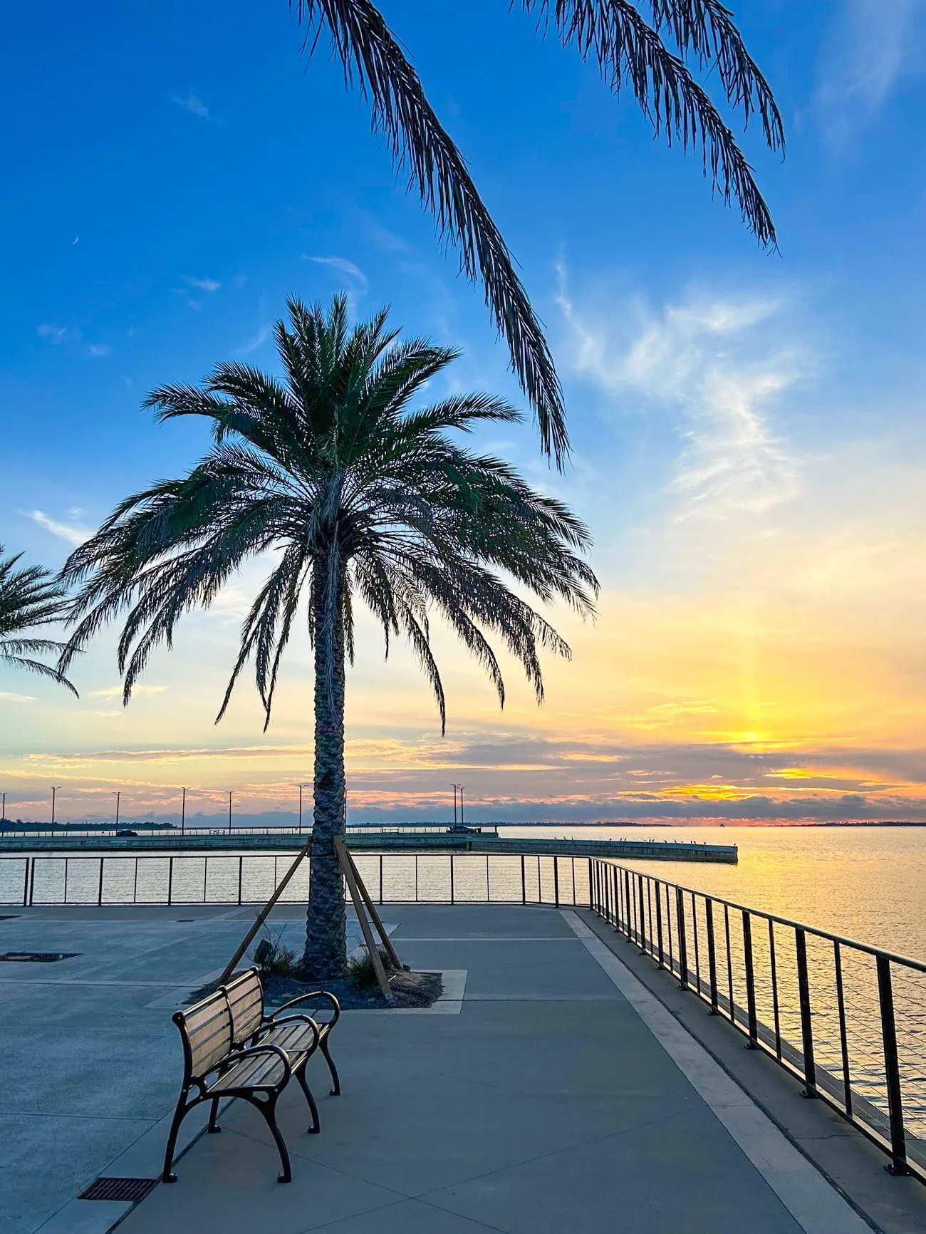 Winter in Panama City sunset view from the Downtown promenade, with palm trees, a bench, and calm waters of St. Andrews Bay