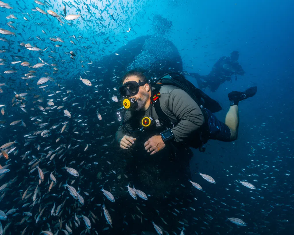 Diving Panama City Florida 1