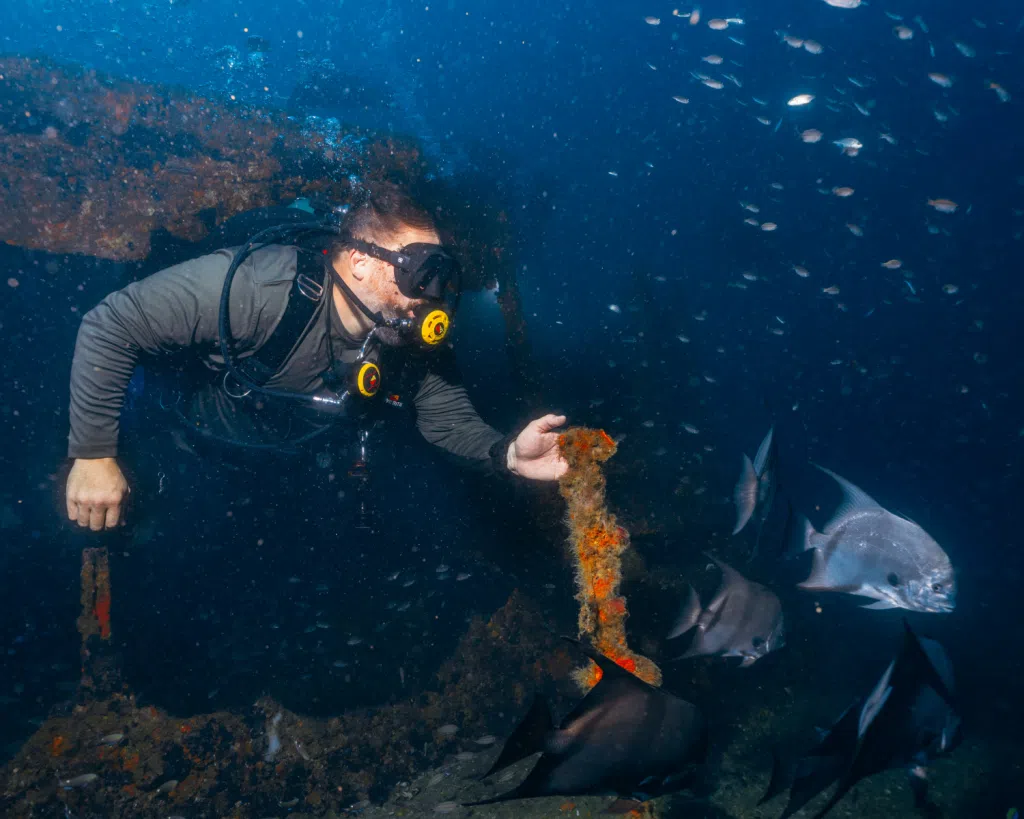Diving Panama City Florida 2