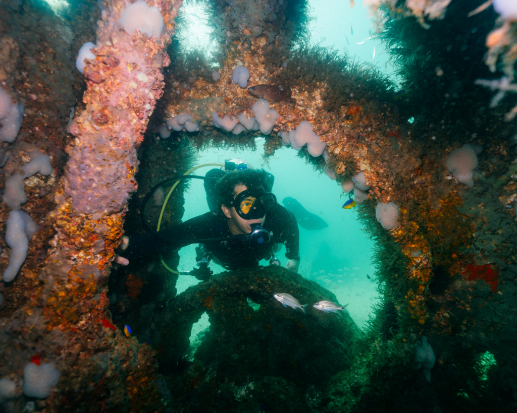 Best Diving in Florida: Planning a Dive Trip in Panama City 3 Close up of scuba diver exploring a marine covered structure during diving in Florida