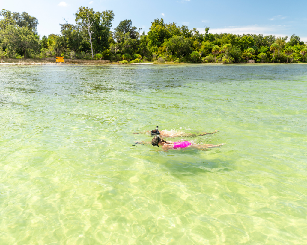 3 Breathtaking Spots for Snorkeling in Panama City, Florida: Where to Go and What to Know 2 A couple explores calm, clear water while snorkeling in Panama City, Florida near a lush, natural shoreline.