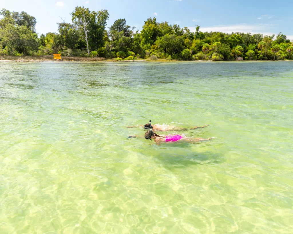 3 Fun Spots for Snorkeling in Panama City, Florida: Where to Go and What to Know 2 A couple explores calm, clear water while snorkeling in Panama City, Florida near a lush, natural shoreline.