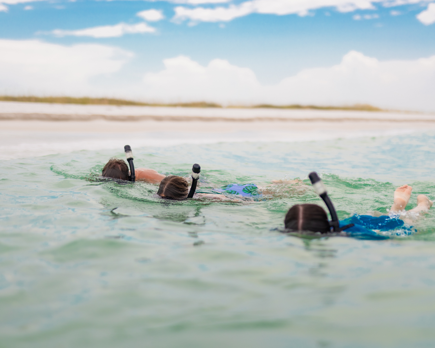 Snorkeling in Panama City Florida 17