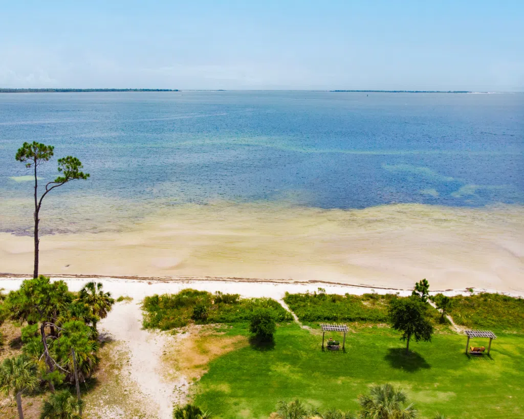 3 Fun Spots for Snorkeling in Panama City, Florida: Where to Go and What to Know 9 Aerial view of sandy shoreline and clear shallow waters, an ideal location for snorkeling in Panama City, Florida.