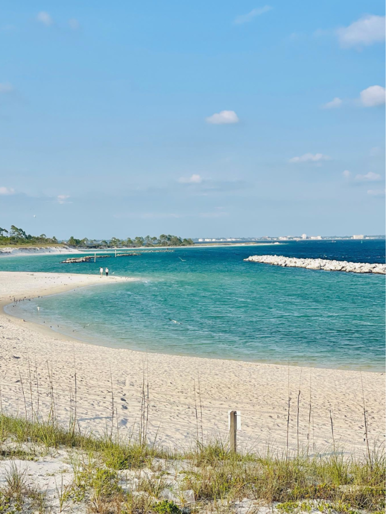 Types of Diving in Panama City 7 Snorkeling in Panama City Florida 3 1