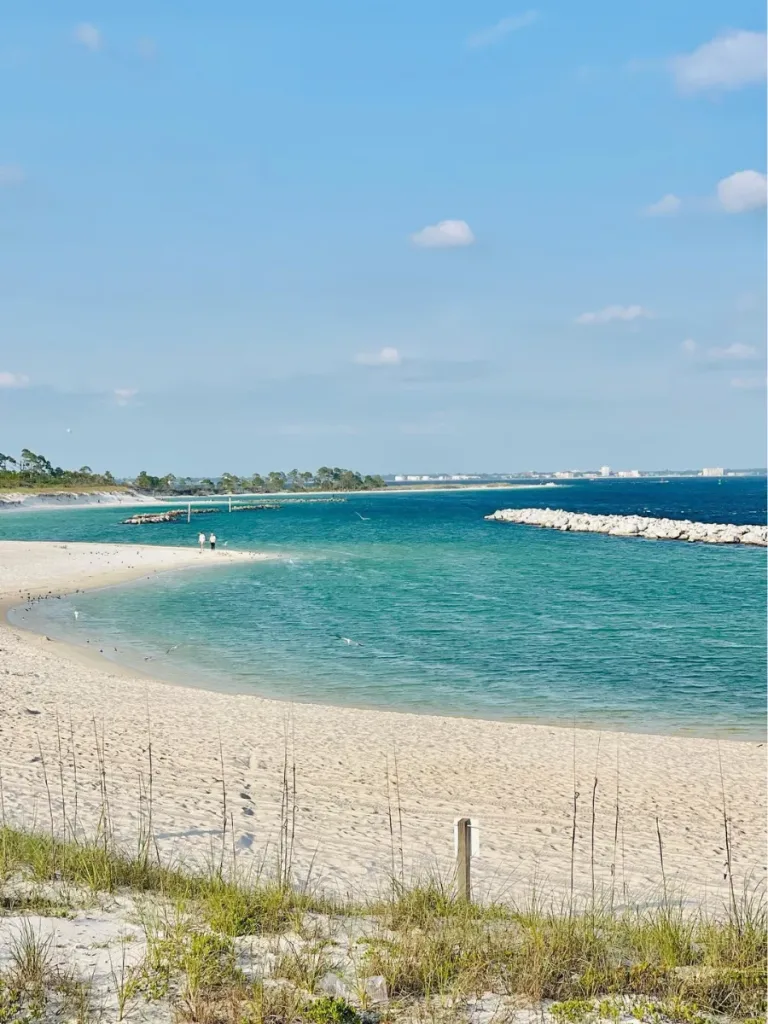 Snorkeling in Panama City Florida 3 1