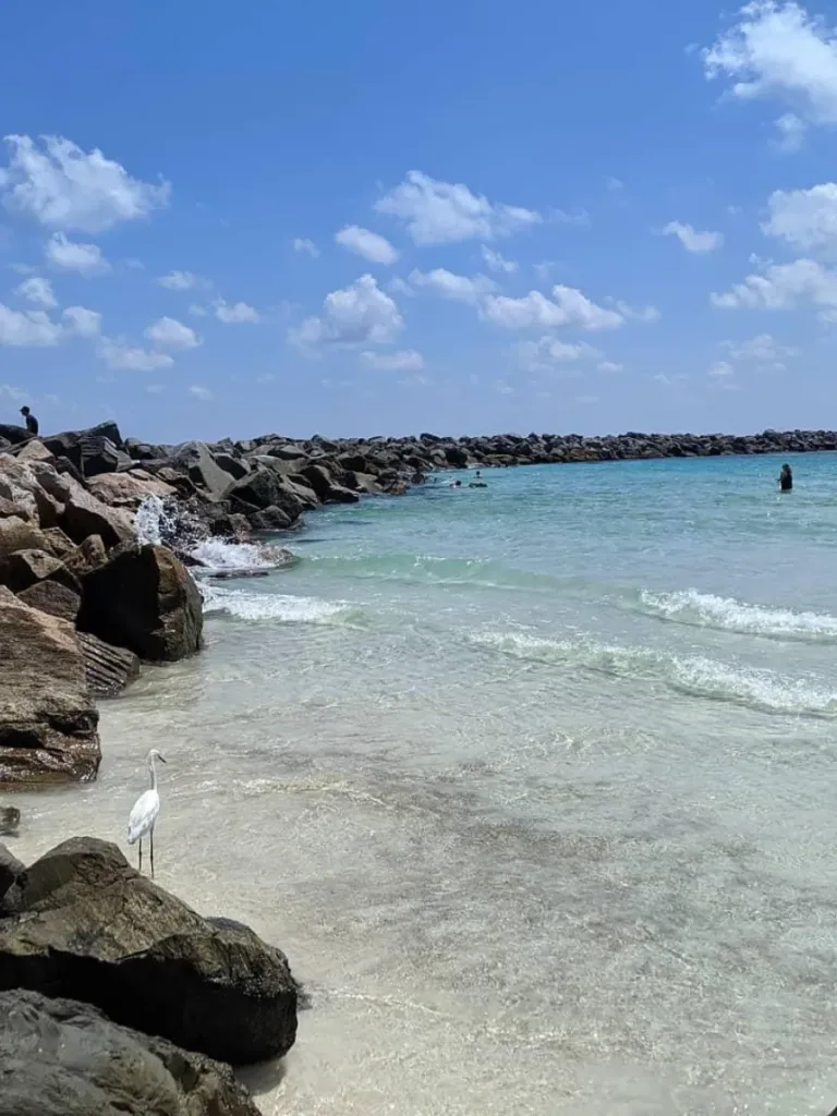 Snorkeling in Panama City Florida 4 1