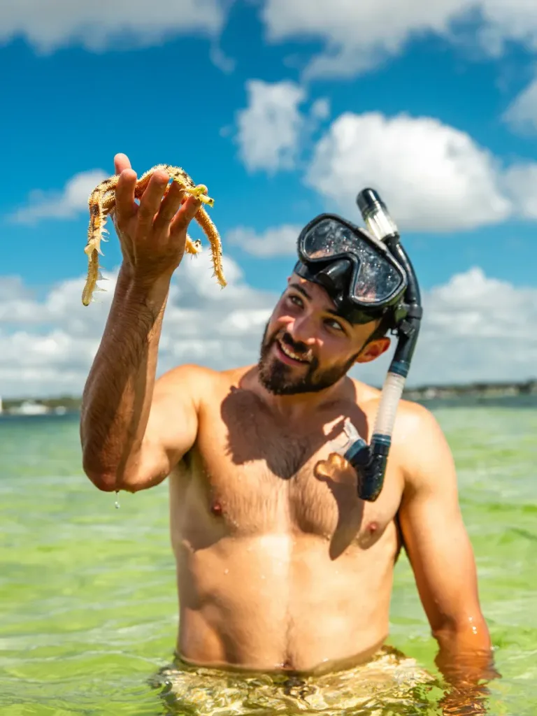 3 Fun Spots for Snorkeling in Panama City, Florida: Where to Go and What to Know 15 Man wearing snorkel gear holding a sea star in shallow water while snorkeling in Panama City, Florida.