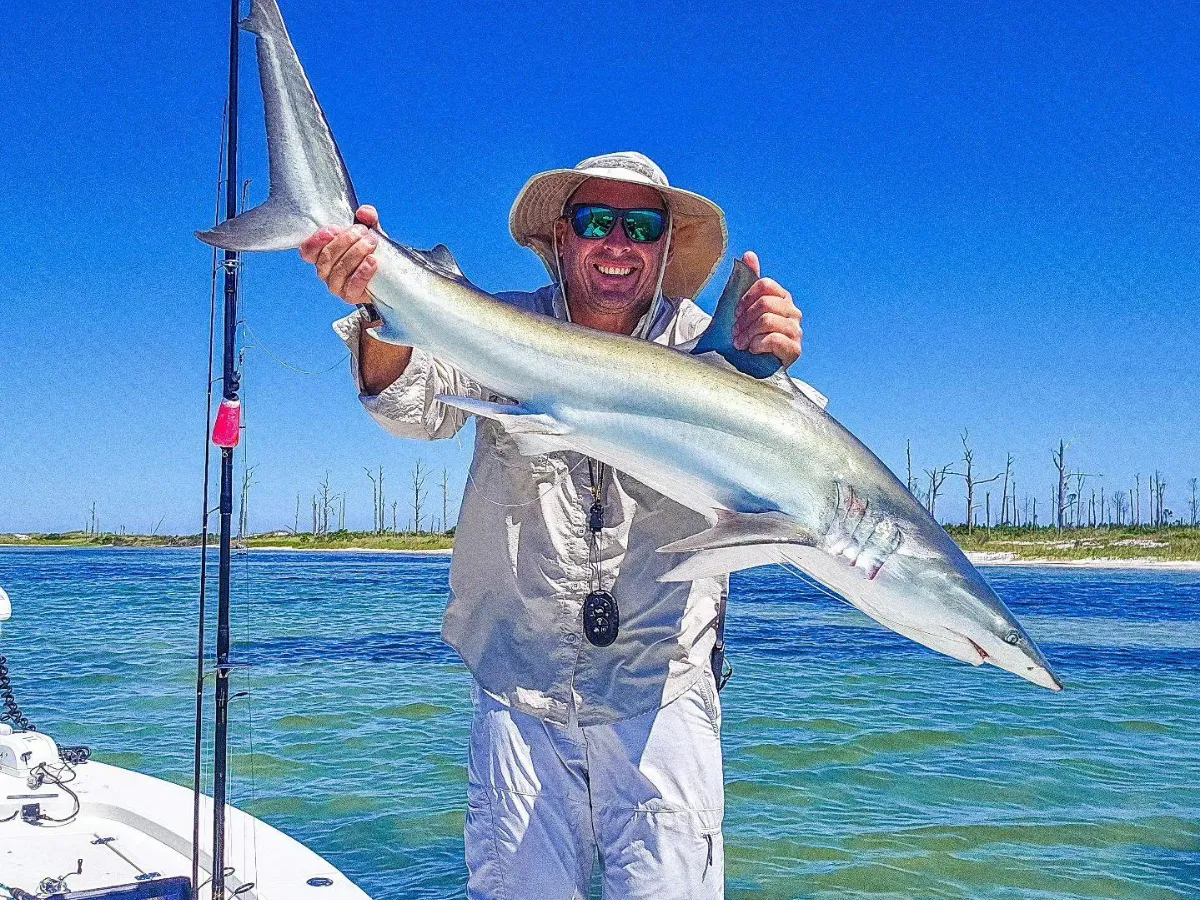 Fishing Seasons in Panama City, Florida: Your Complete Guide to Year-Round Action on the Gulf 22 Angler holding a shark caught during summer fishing seasons in Panama City near Shell Island