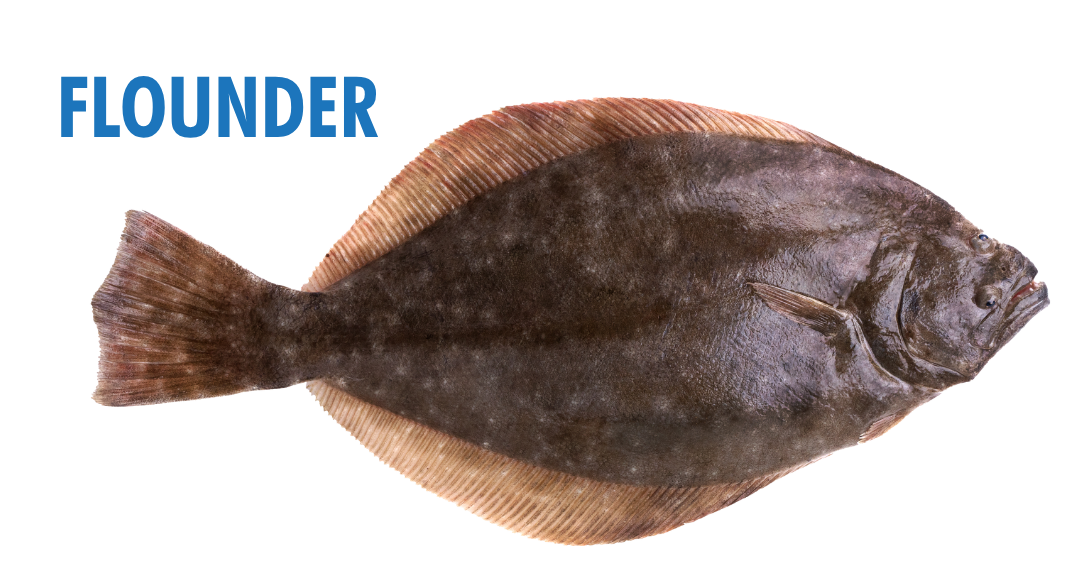 Fishing Seasons in Panama City, Florida: Your Complete Guide to Year-Round Action on the Gulf 15 fishing seasons in panama city, florida - flounder