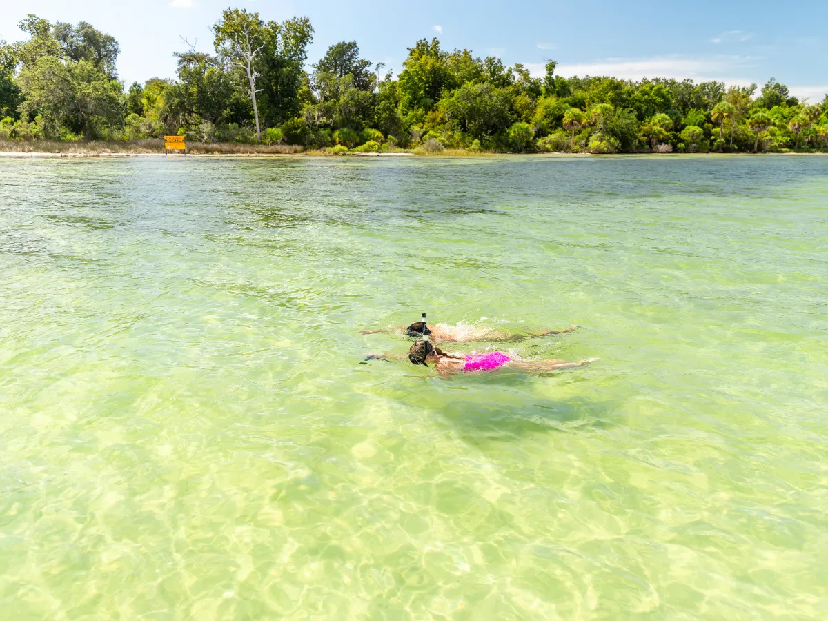 Two snorkelers exploring clear Gulf waters near Panama City, one of the most accessible skillcation experiences in Florida