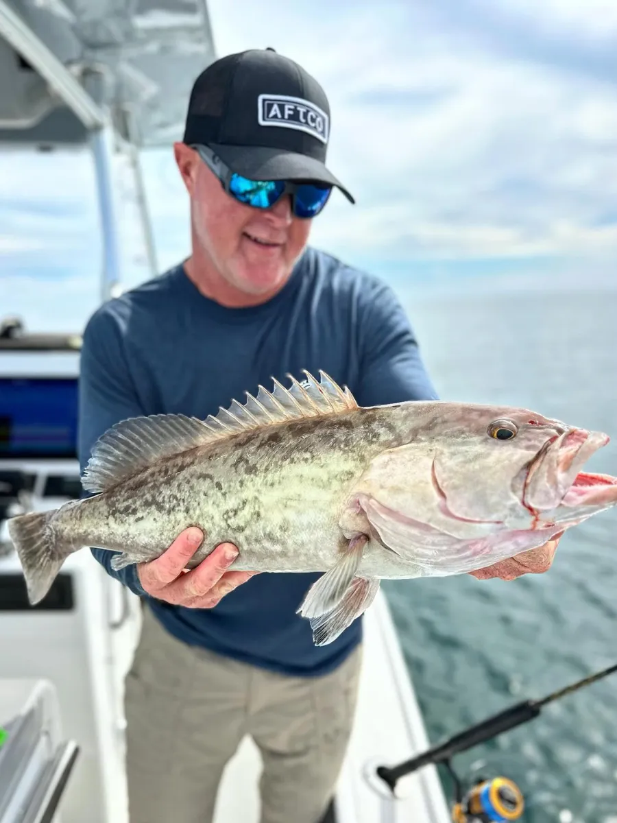 Angler holding a gag grouper caught on an offshore charter, one of the most sought-after types of fishing in Panama City Florida
