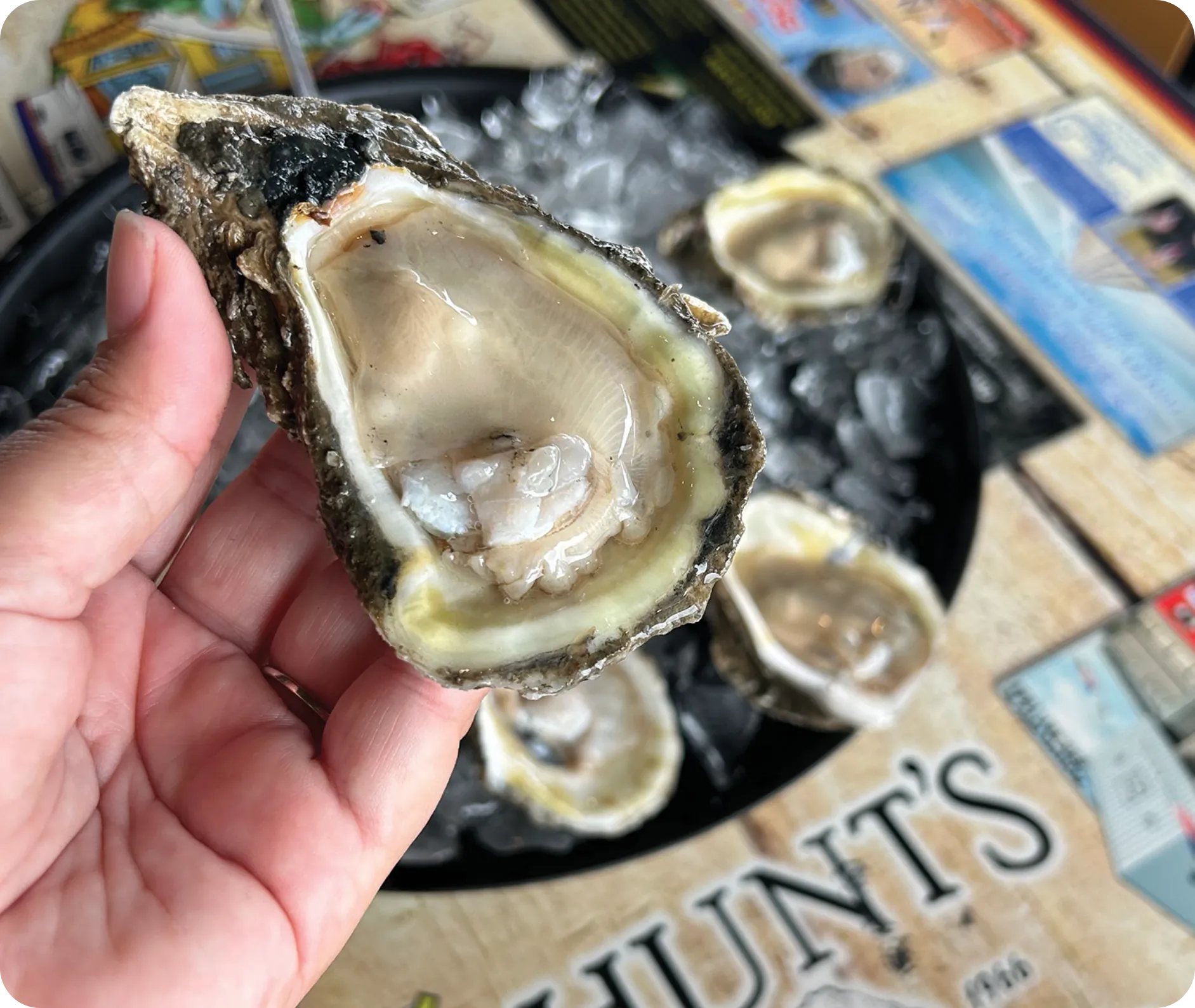 Panama City Oyster Trail 1 panama city oyster trail in panama city florida