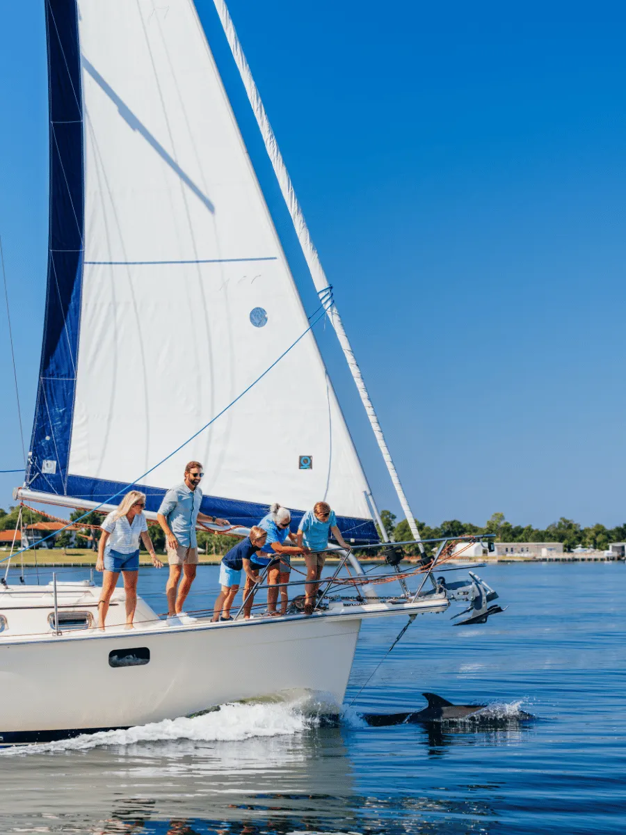 Dolphin excursions in Panama City, Florida