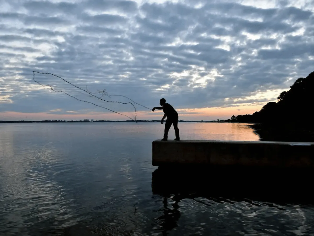 Cast net fisherman silhouetted against sunset in Panama City Florida on St. Andrews Bay.