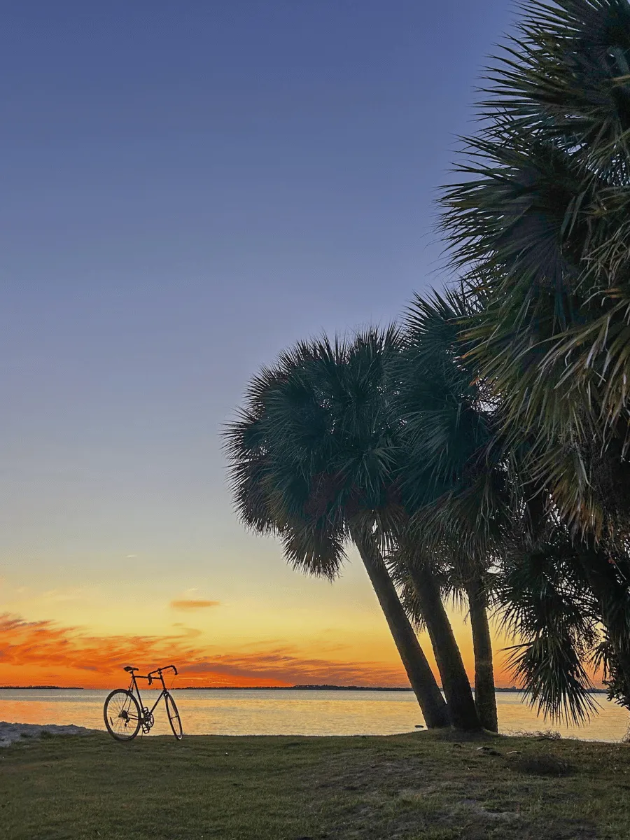 Bicycle beneath palm trees overlooking sunset in Panama City Florida.